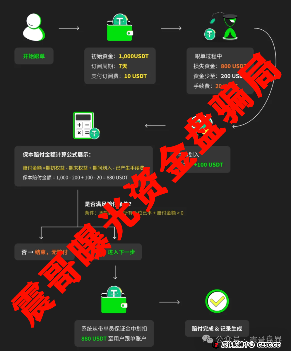 Websea跟单骗局大起底！震哥带你扒光它的套路(2)
