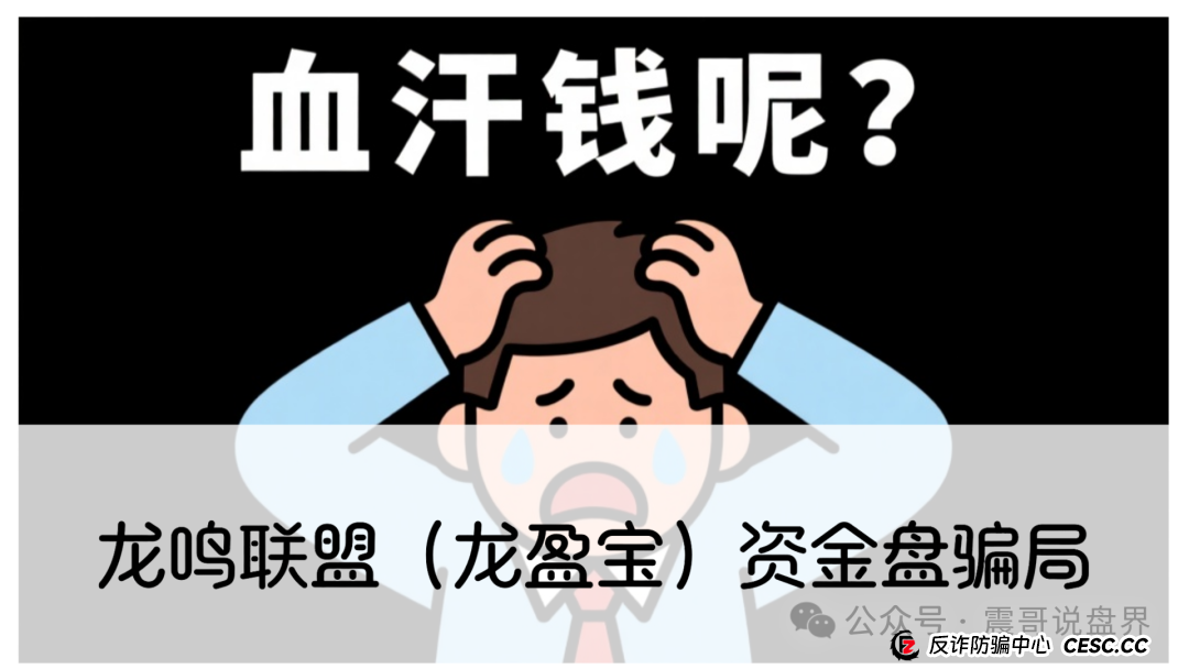 龙鸣联盟（龙盈宝）资金盘骗局，圈钱过亿，高度预警，别被收割