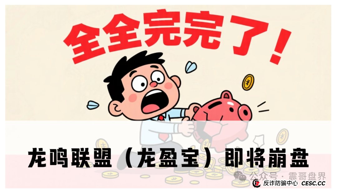 龙鸣联盟（龙盈宝）即将崩盘，震哥带你扒一扒这个专坑人的资金(1)