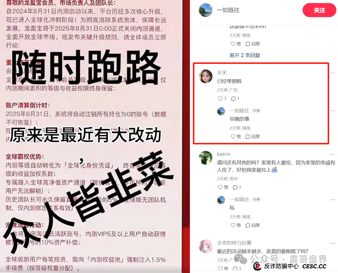龙鸣联盟（龙盈宝）即将崩盘，震哥带你扒一扒这个专坑人的资金(4)