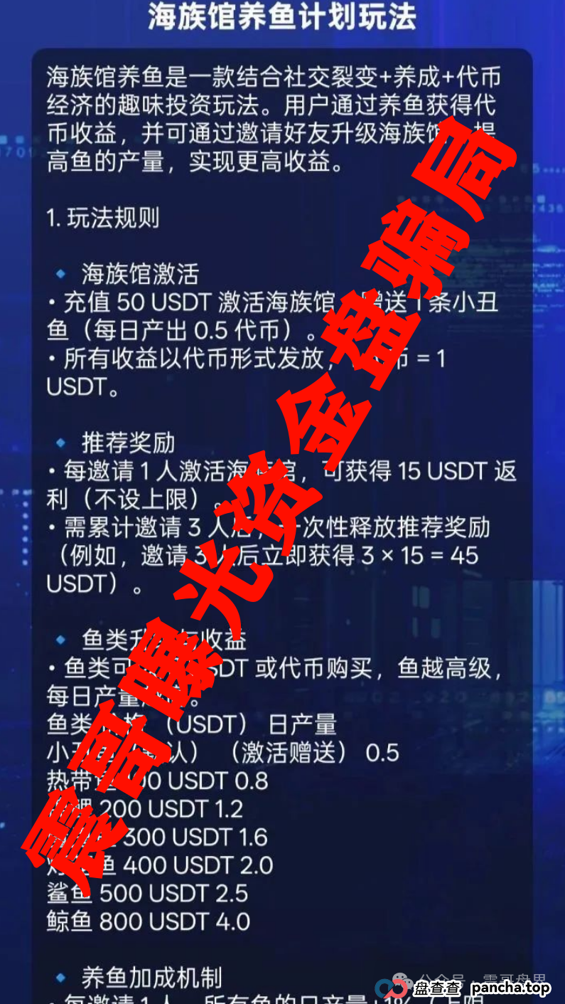 震哥扒皮Golden Link（睿讯）：带你避开这个资金盘连环套(2)