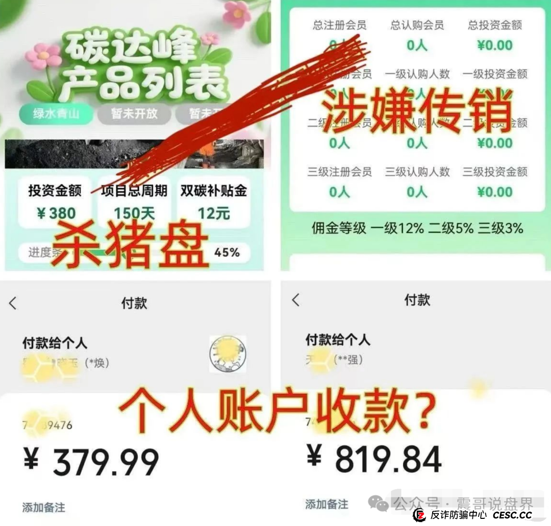 【碳达峰APP】震哥带你扒皮这个骗局，千万别往里跳！(3)