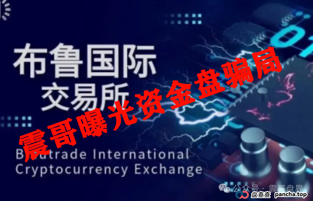 布鲁交易所Bleutrade资金盘骗局，大量单割，高度预警！(2)