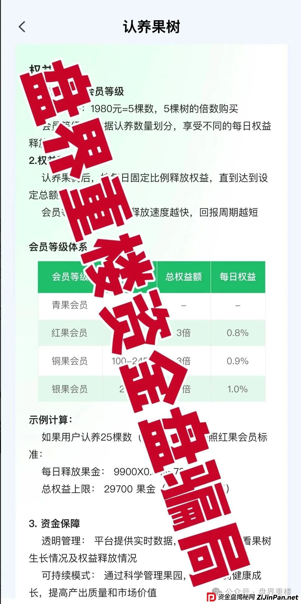 兴攀农场资金盘骗局，操盘手圈钱过亿，高度预警，即将崩盘跑路！(2)