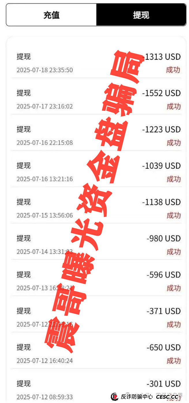 震哥带你扒皮“DFAI”资金盘：这玩意儿到底靠不靠谱？(2)