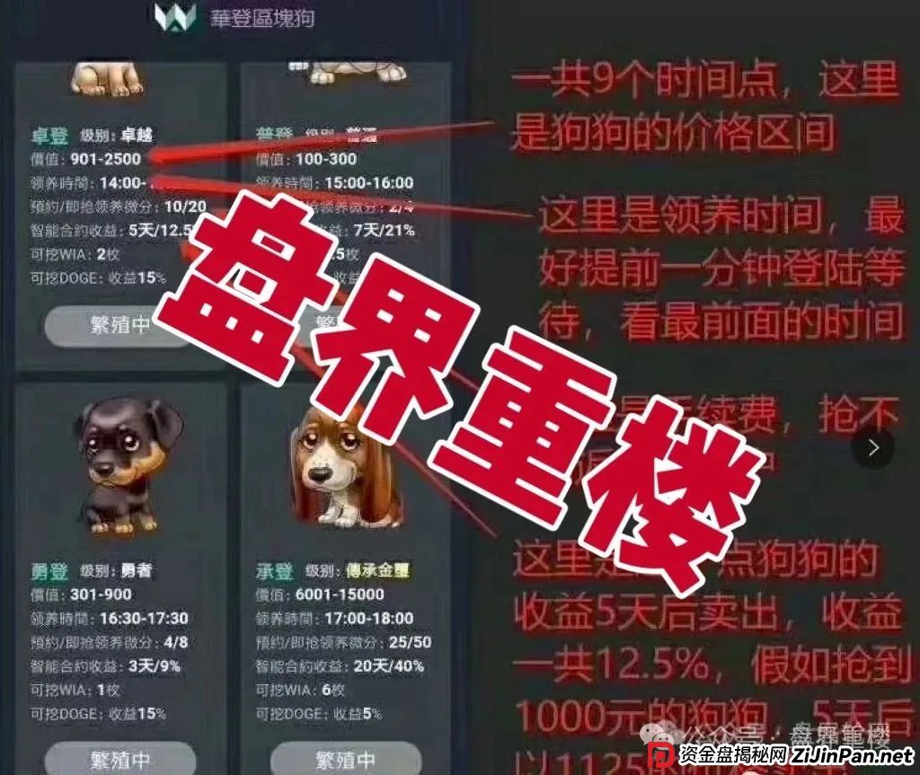 巢音世代抢单类资金盘骗局，操盘手圈钱过亿，即将崩盘跑路！(3)