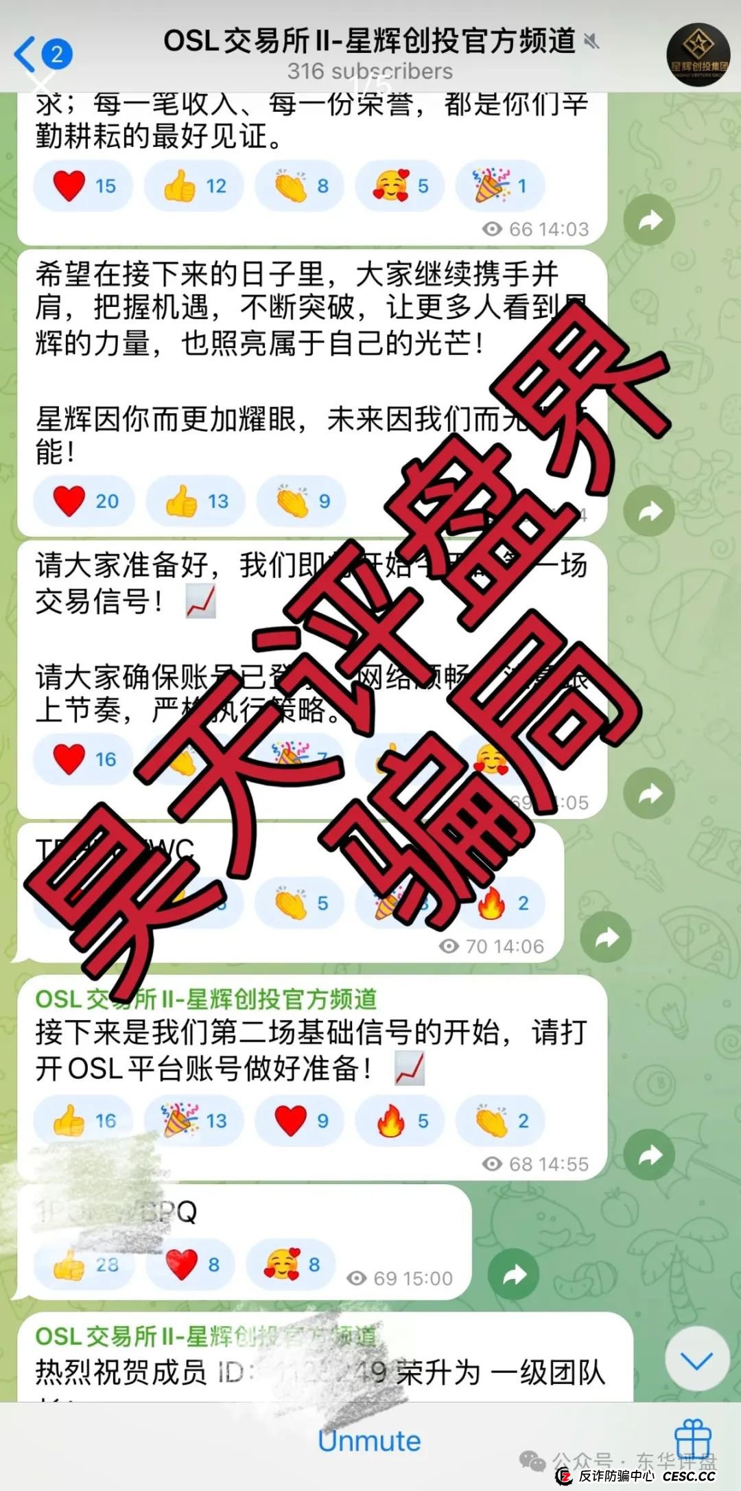 星辉创投OSL交易所跟单类资金盘骗局，原ABCC交易所诈骗团伙开的一轮圈韭菜盘，高度预警，看见一定要远离！(5)