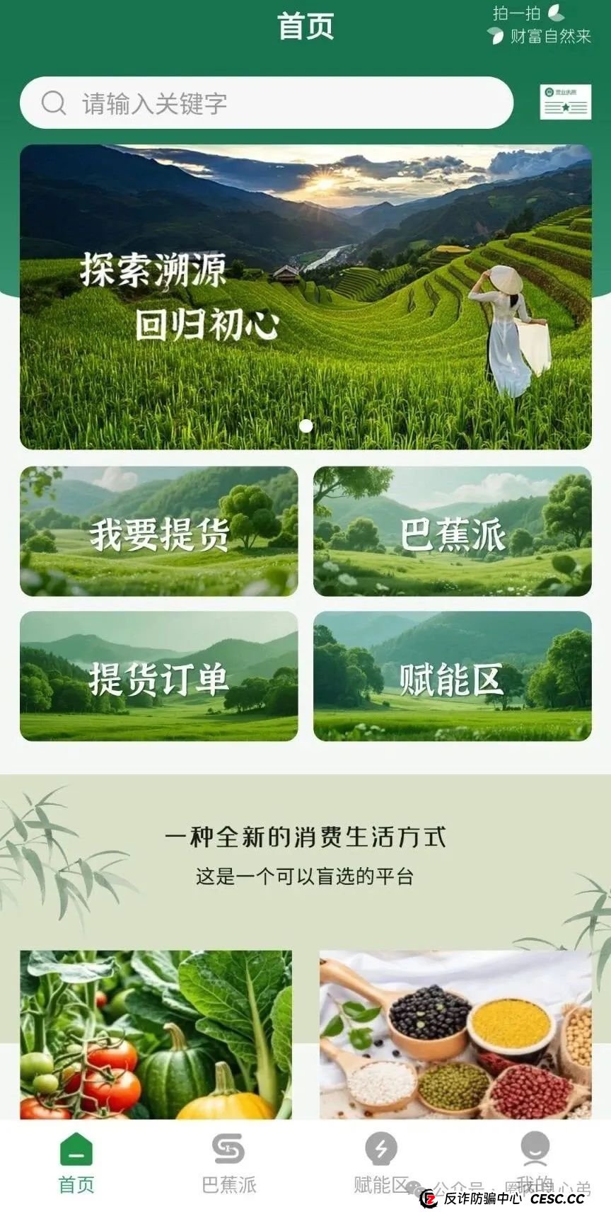 悠然境-巴蕉派小红蕉，互助竞拍骗局，多数投资者反应，提现不到账(3)