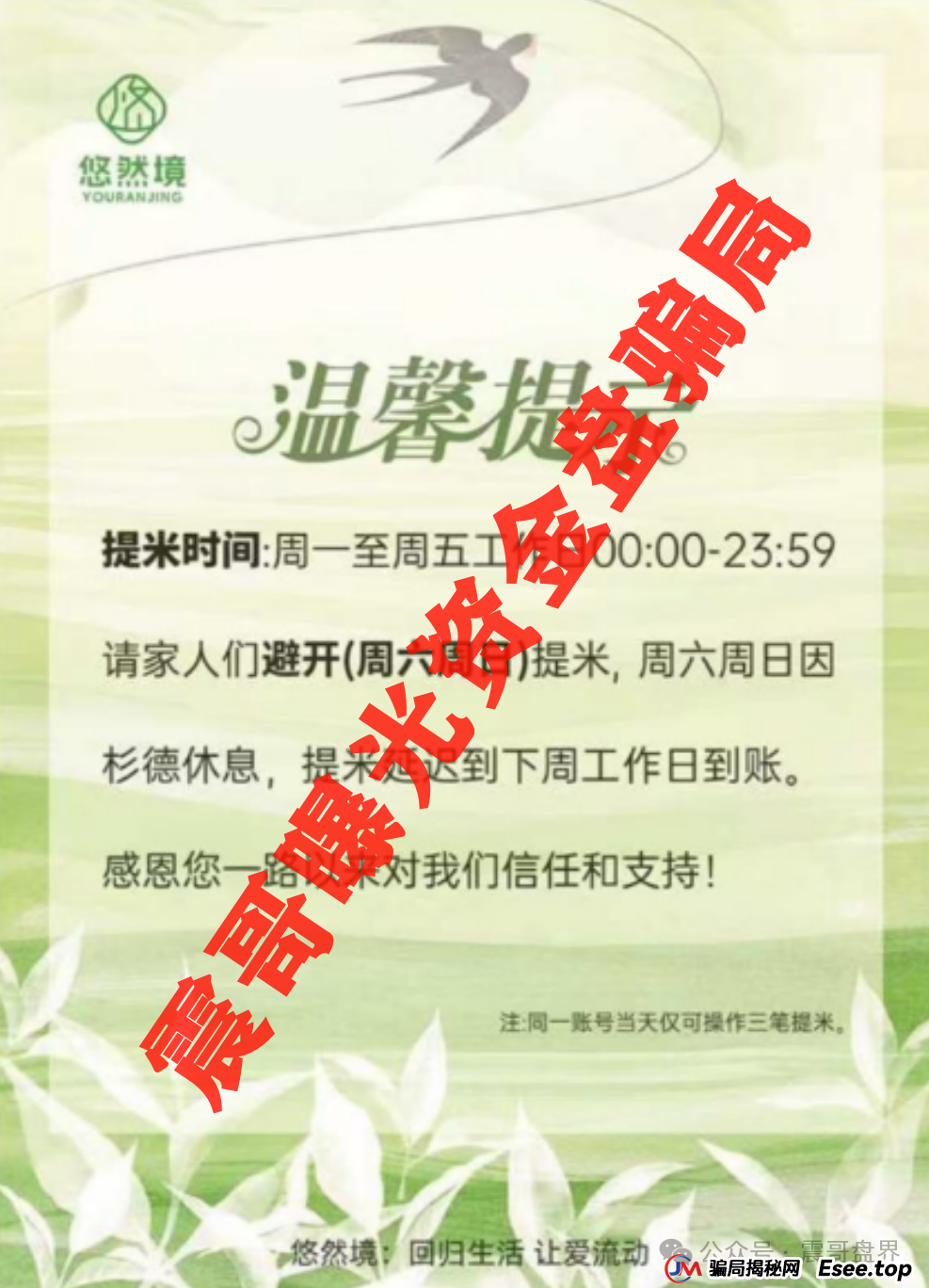 【悠然境暴雷预警】震哥曝提现异常！盘子要翻车？(3)