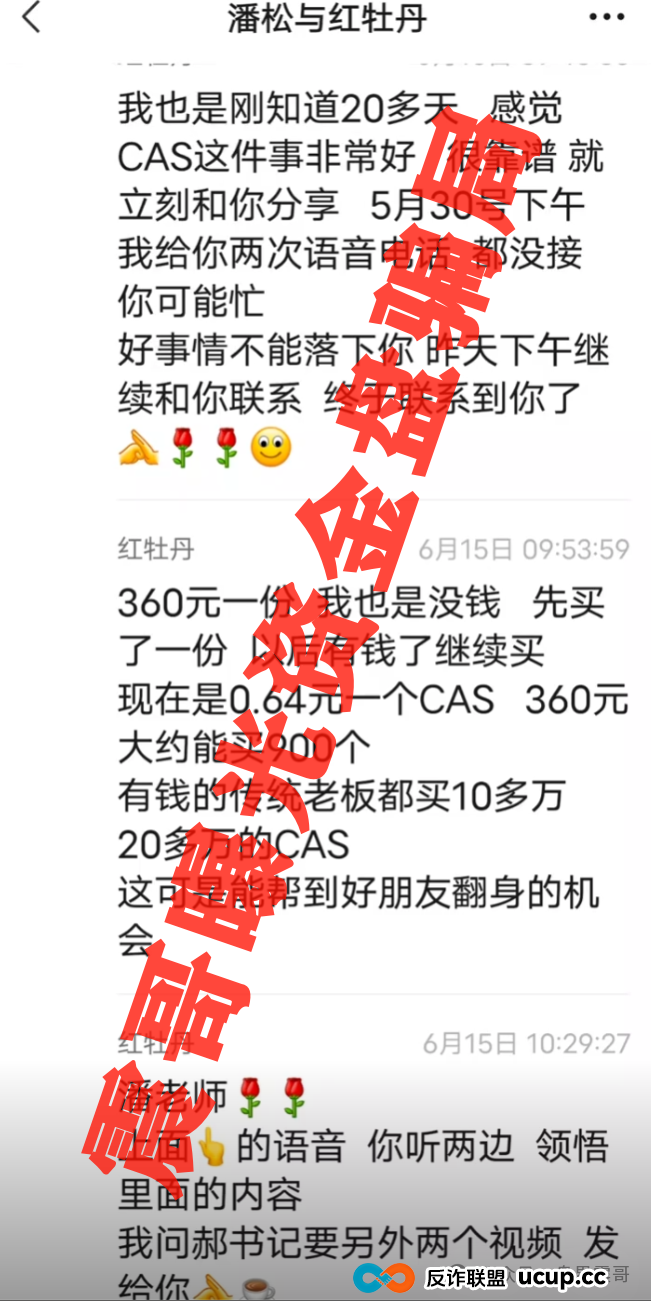 CAS币骗局大起底：震哥带你扒皮＂暴富＂陷阱(2)