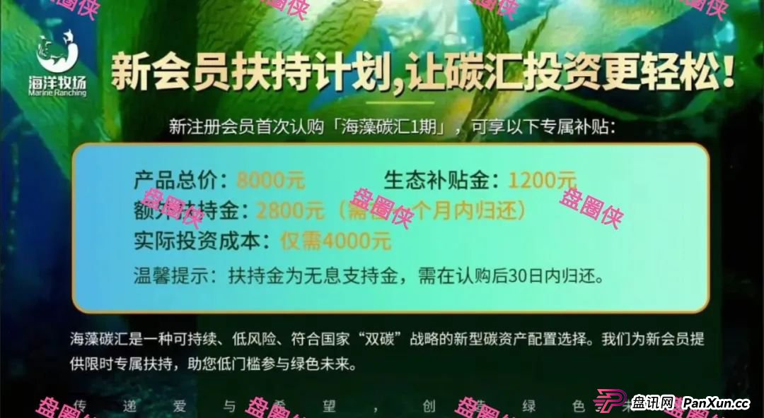 8月28日曝光‼️最新资金盘诈骗项目，东南财富，海洋牧场，嗨贝短剧随时可能卷钱跑路。(5)