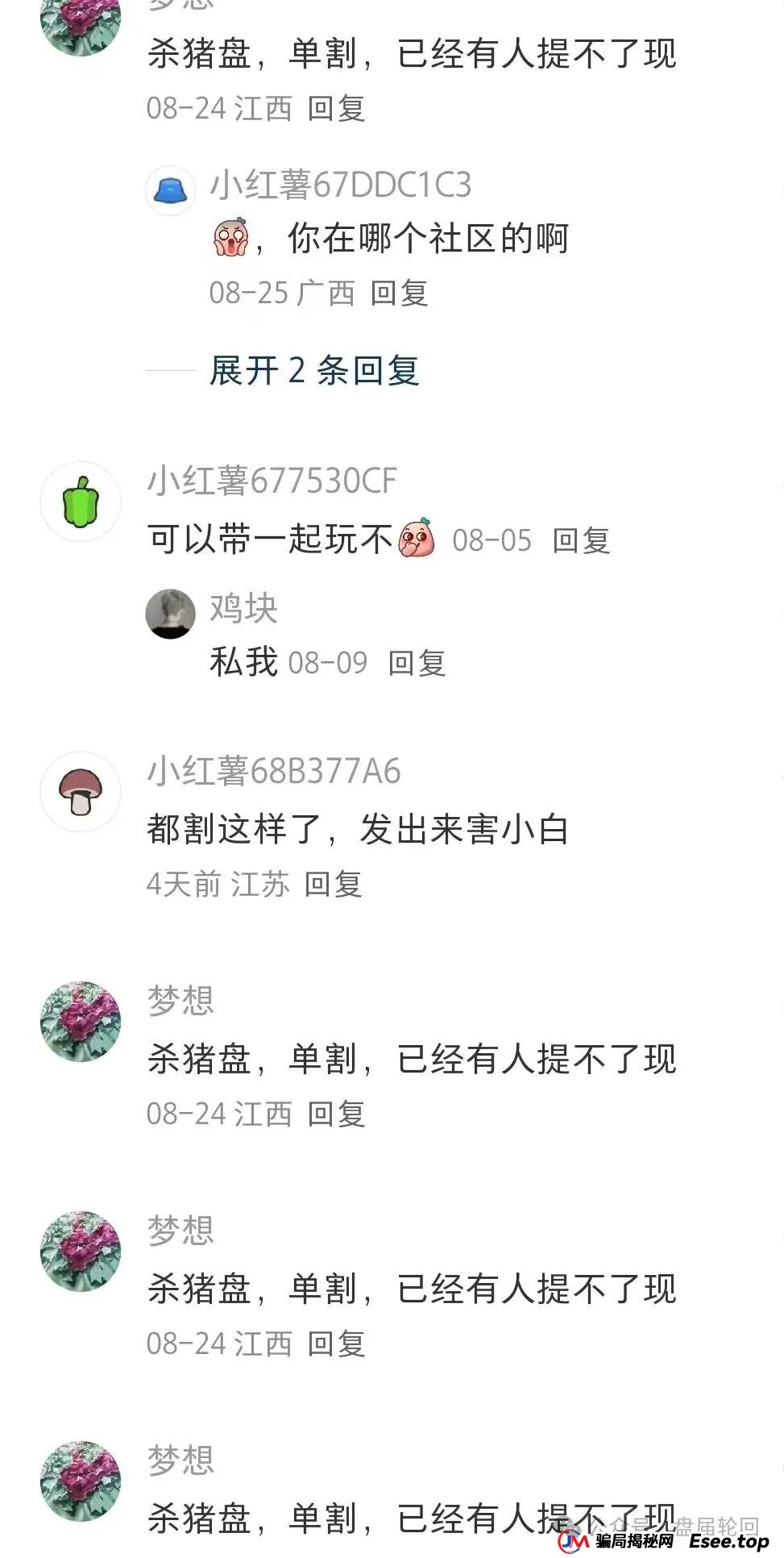 睿盛环球Golden Link已经开始单割，前身是博瑞通，即将全线崩盘跑路！(4)