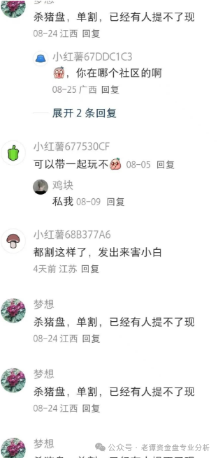 关于“睿盛环球＂项目的情况我必须提醒大家警惕这个高风险资金盘。该项目前身曾用名＂博瑞通＂＂晟盛环球＂频繁更名是典型资金盘特征。(4)