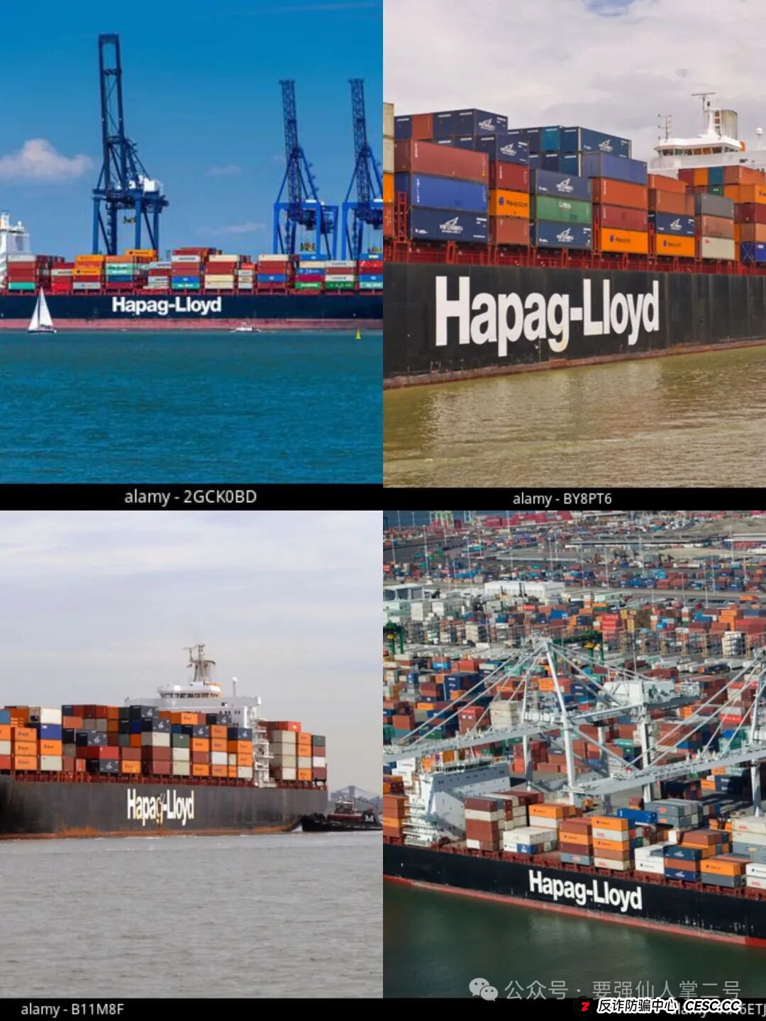 警惕！“赫伯罗特(Hapag-LIoyd)”重启资金盘骗局卷土重来，操盘手圈钱千万，随时面临跑路风险！(4)