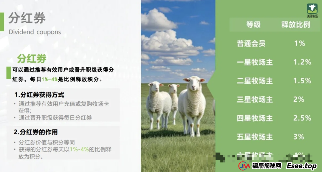 小心！“美丽牧场”是个坑人的资金盘项目，投资者面临血本无归！！！(4)