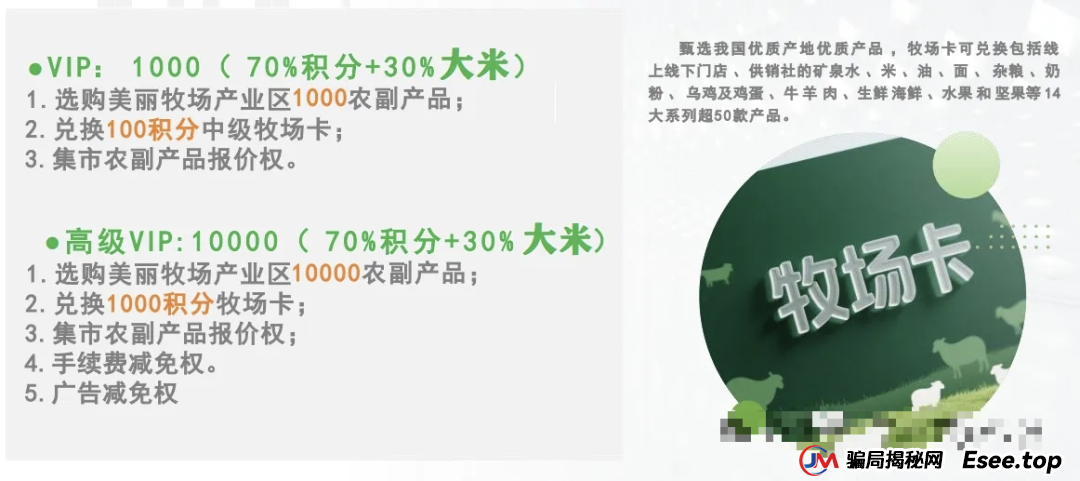 小心！“美丽牧场”是个坑人的资金盘项目，投资者面临血本无归！！！(1)