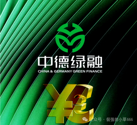 一年积攒的泡沫，一朝崩盘！“中德绿融”突现离谱产品，这是要清仓跑路？(1)