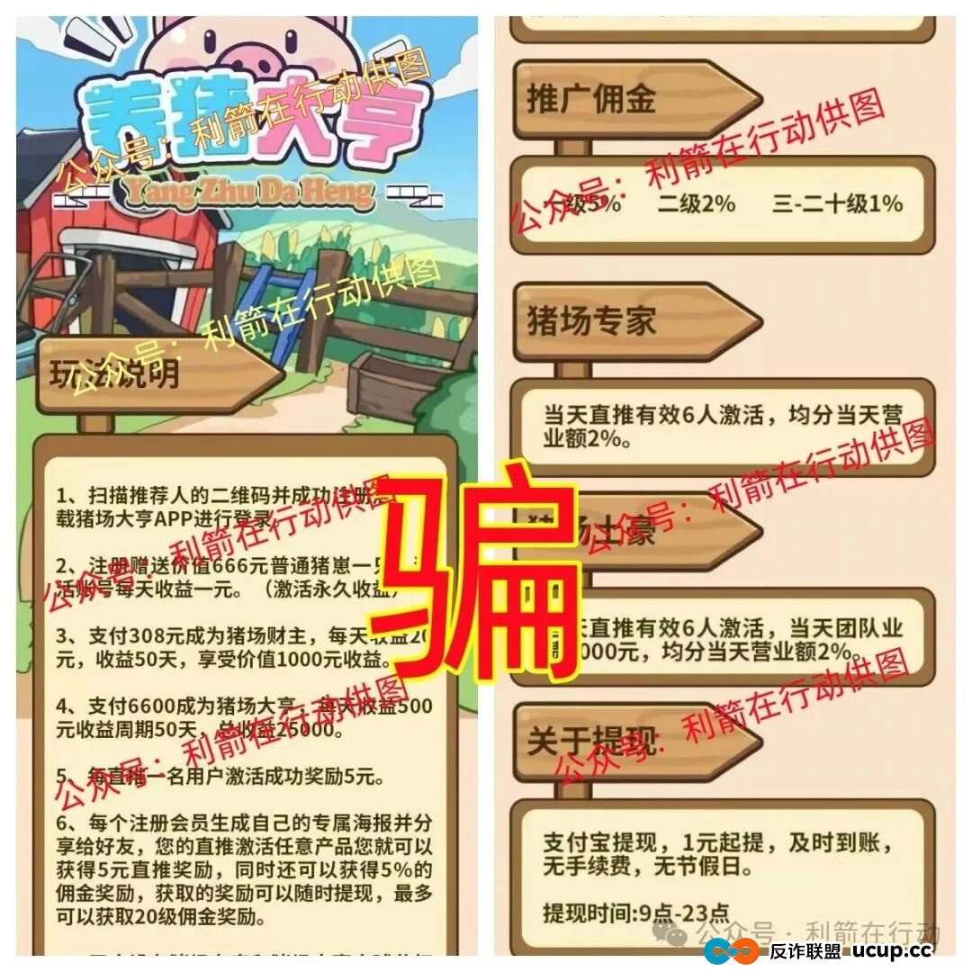 这11个互联网项目都是骗局，刚上线的，卷款跑路的，你中招了没有？(8)