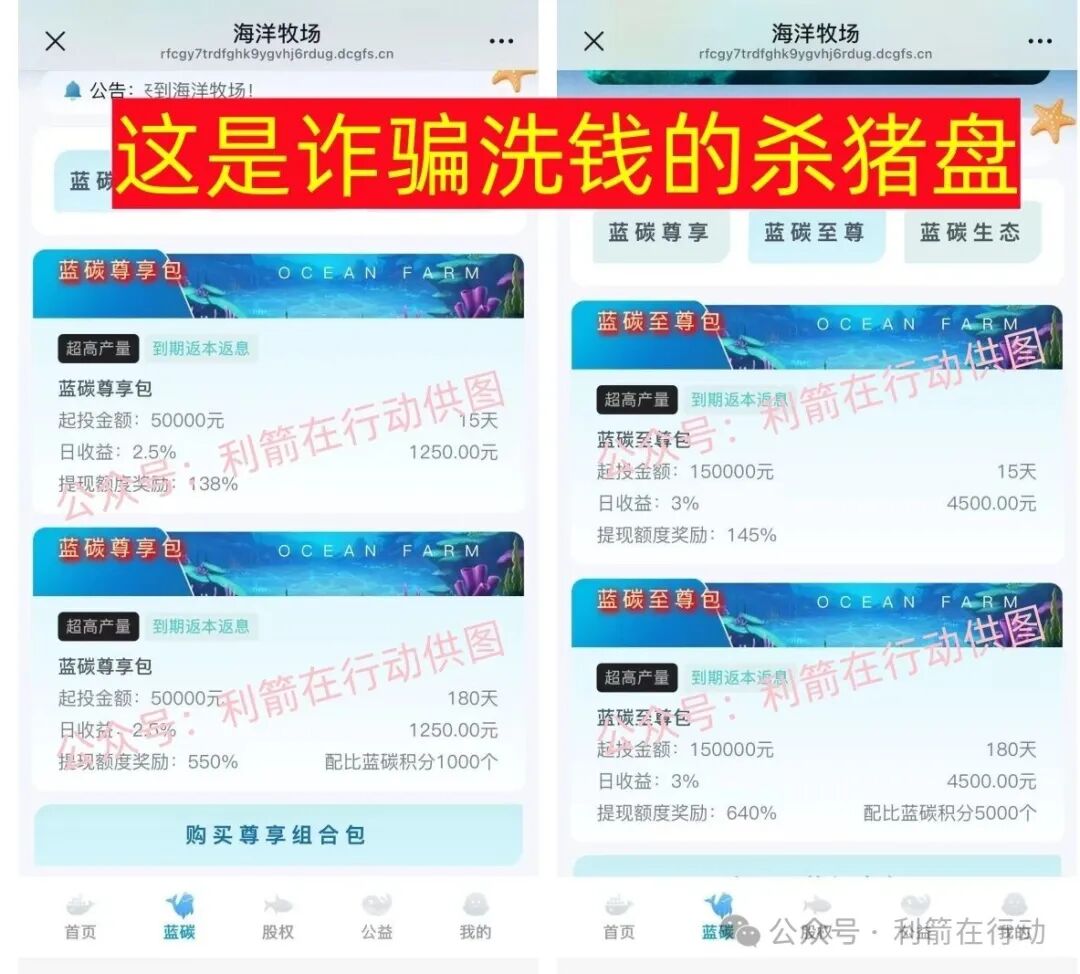 这18个互联网新项目是骗局，其中有人被骗60万，请别上当！(2)