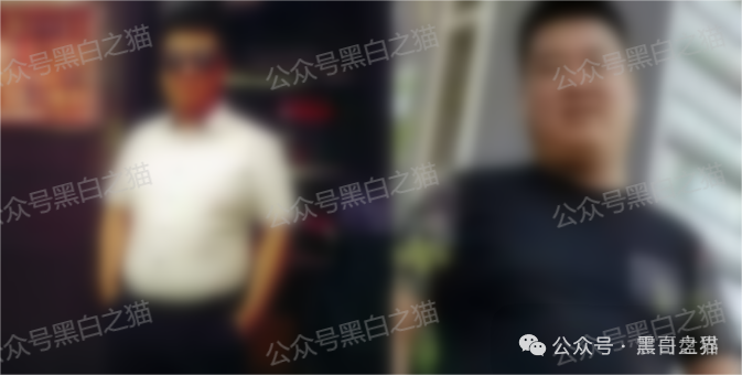 Veridian（维盛社区）资金盘骗局，已经单割，即将崩盘跑路(3)