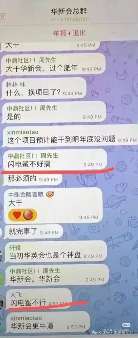 闪电鲨AI是资金盘骗局，VAX翻版，即将崩盘(4)