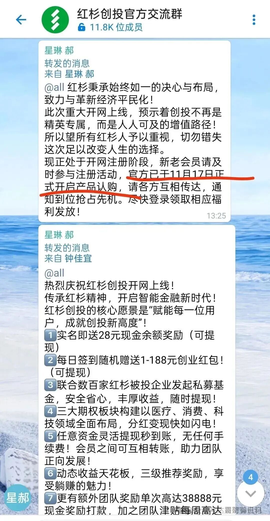 红杉创投资金盘骗局，假冒正规公司，快割项目，看见远离(3)