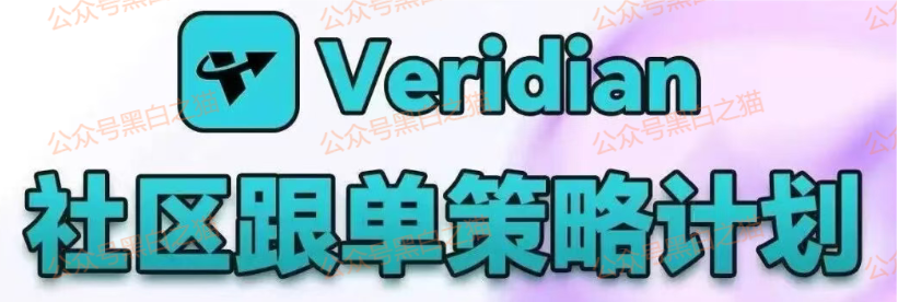 影子曝光｜“Veridian 维盛社区”野鸡交易所起盘2个月，单割小团长，痕迹狡兔三窟，国内踪迹一点就破......(1)