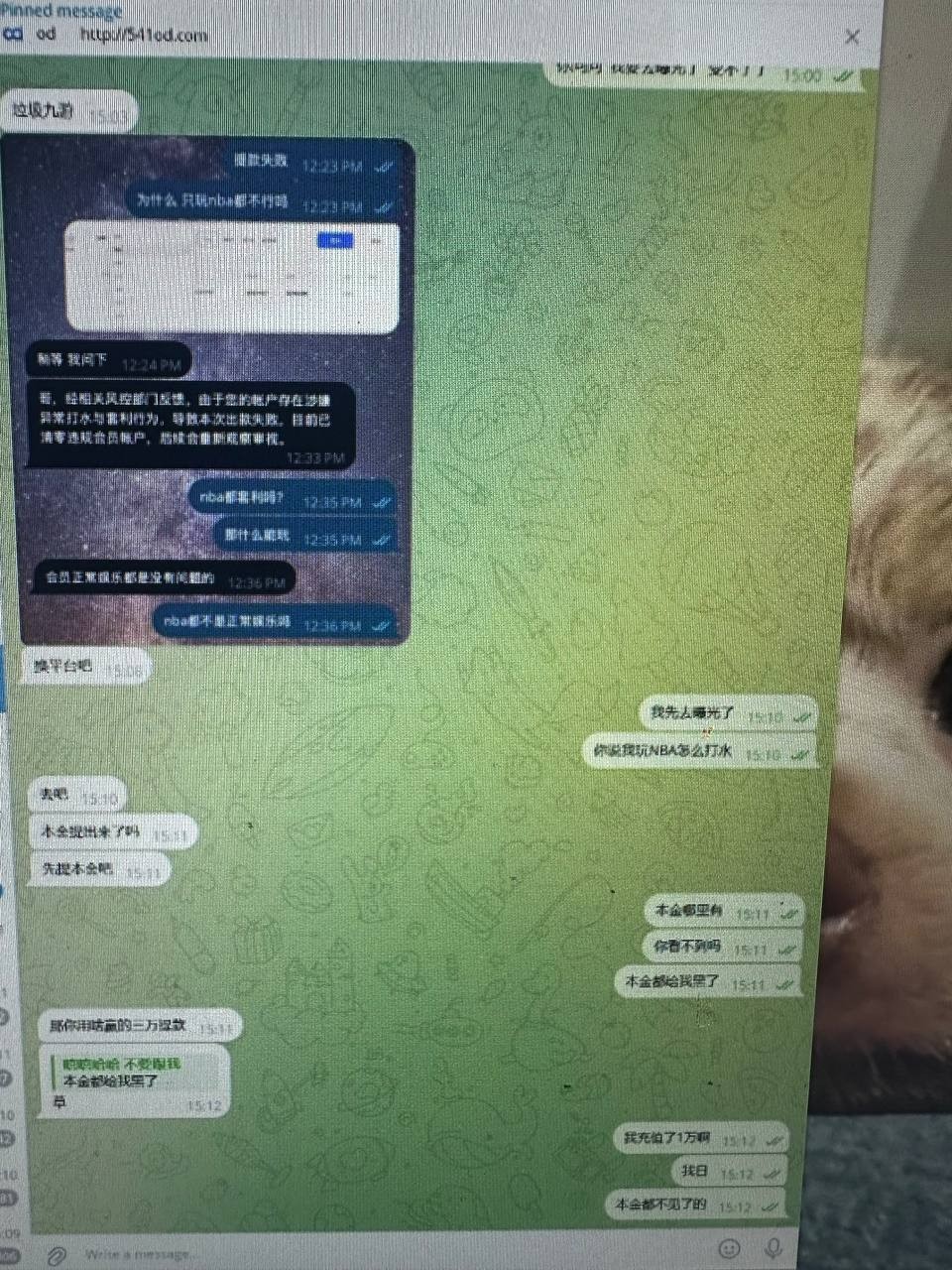 爆料九游娱乐，九游是年底里要收割了嘛(4)