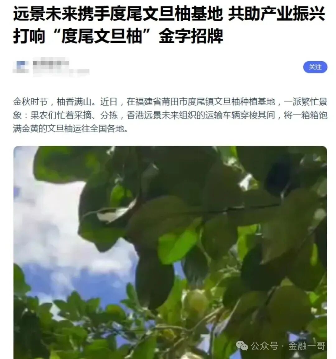 丧心病狂！境外诈骗犯虚构“鸿运万交所”，冒用歌手借 “助残” 之名设局，专骗国人！(3)