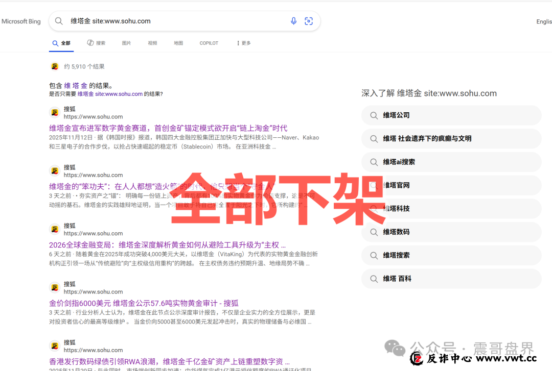 维塔金（VitaKing）资金盘骗局，大量推广文章涉嫌诈骗被投诉下架(3)