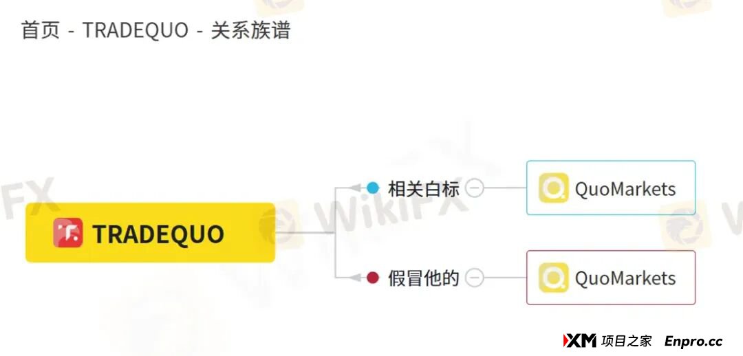 百倍的收益曲线难掩真相 为何TRADEQUO平台的跟单不可信!(7)