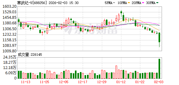 寒武纪否认市场传闻但股价难止跌 投资人士：AI芯片龙头稀缺性或在消退(1)