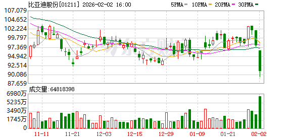 车企1月竞争格局生变：小米成“新王” 比亚迪国内磨底(2)