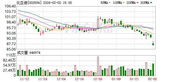 车企1月竞争格局生变：小米成“新王” 比亚迪国内磨底(1)
