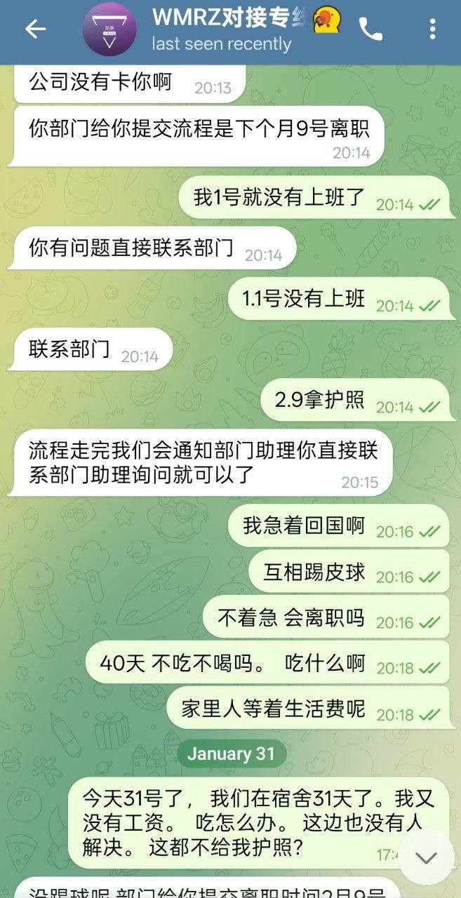 爆料柬埔寨西港，完美、好博、伽罗、诈骗杀猪盘(8)