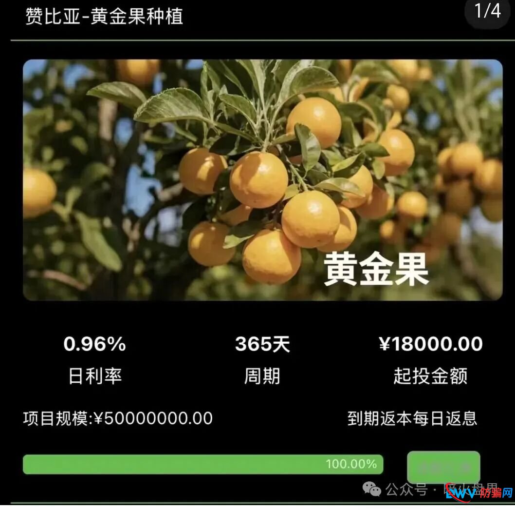 资金盘预警：“华洋绿投”以海外农业为幌子，日息0.67%起，崩盘前最后的提现机会(4)