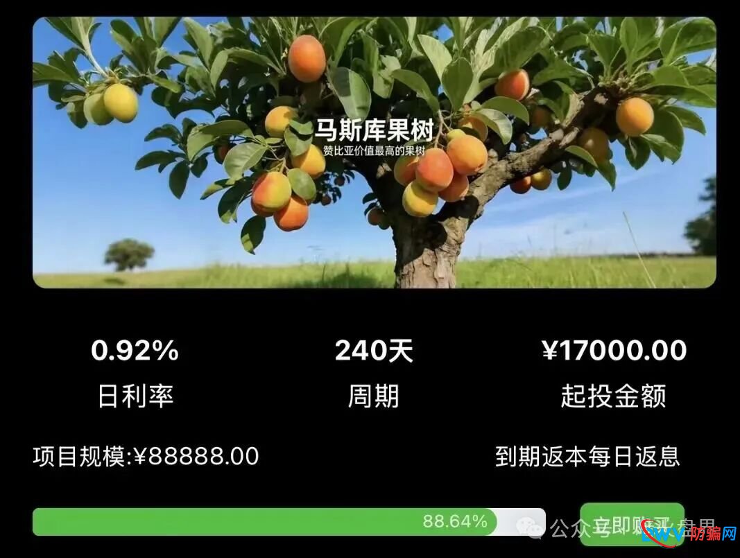 资金盘预警：“华洋绿投”以海外农业为幌子，日息0.67%起，崩盘前最后的提现机会(3)
