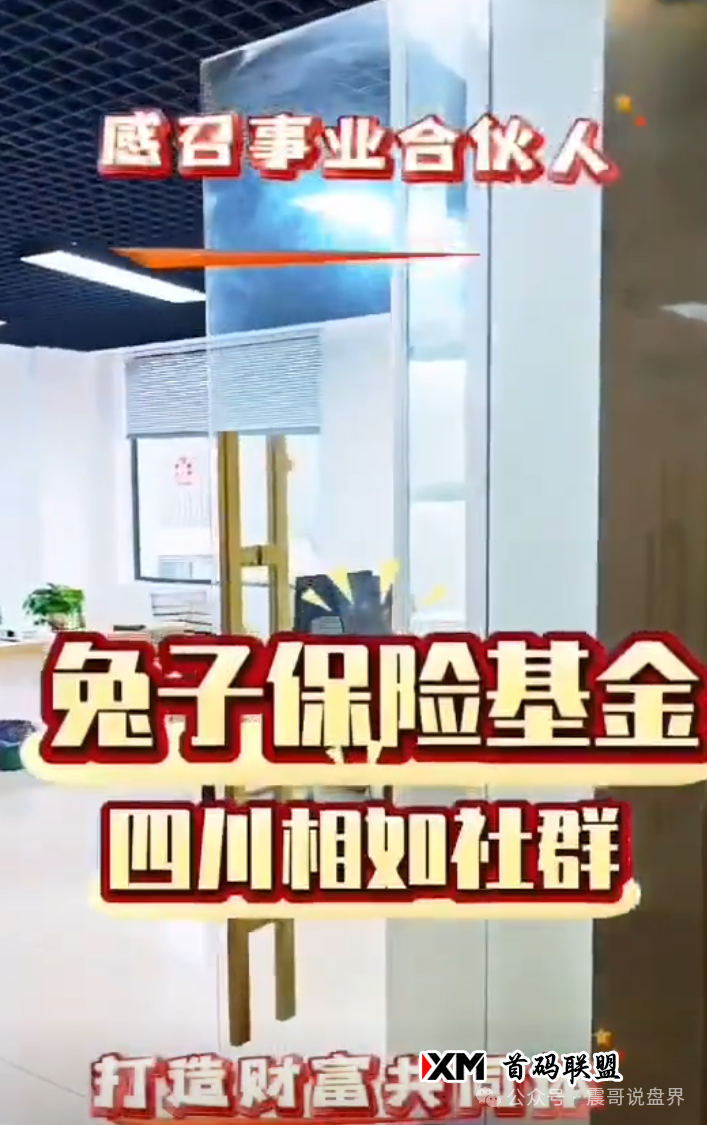 兔子保险基金（ACHMAN阿赫曼）：震哥曝光这个柬埔寨资金盘骗局(5)