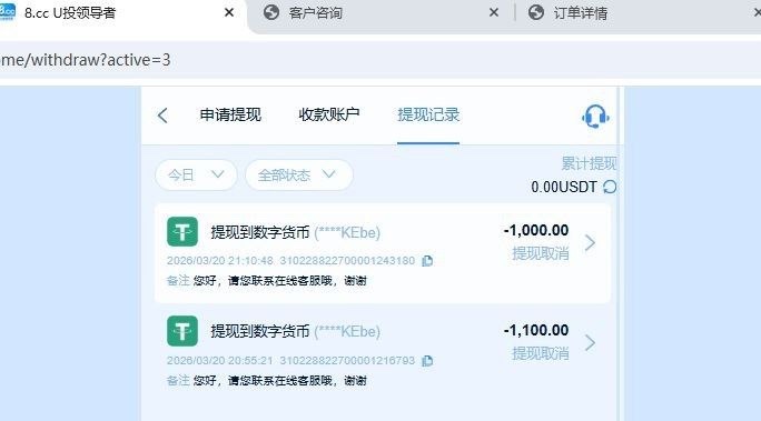 全网最强杀猪盘 8.cc，打了一下PG电子和WG电子，结果出款1100U的时候客服说套利退本金(4)