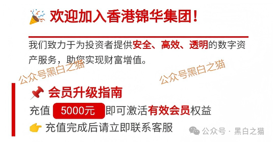 锦华科技/锦华传媒是资金盘骗局，境外诈骗园区项目，看见远离(1)