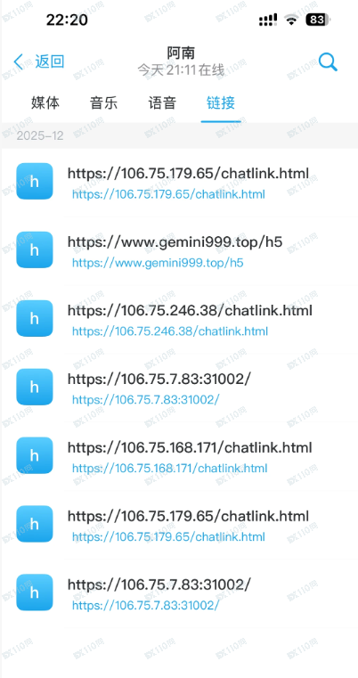 Gemini杀猪盘被骗经过（二）(1)