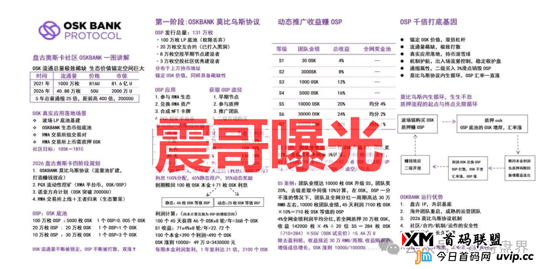 OSK奥斯卡（OKS币）传销币资金盘骗局，看见一定要远离