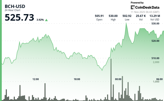 比特币现金小幅上涨 0.71% 至 524.31 美元，突破 520 美元阻力位。(1)